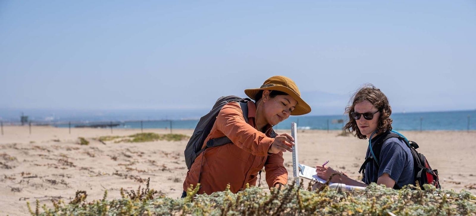 Two surveyors recording dune vegetation data on an open beach