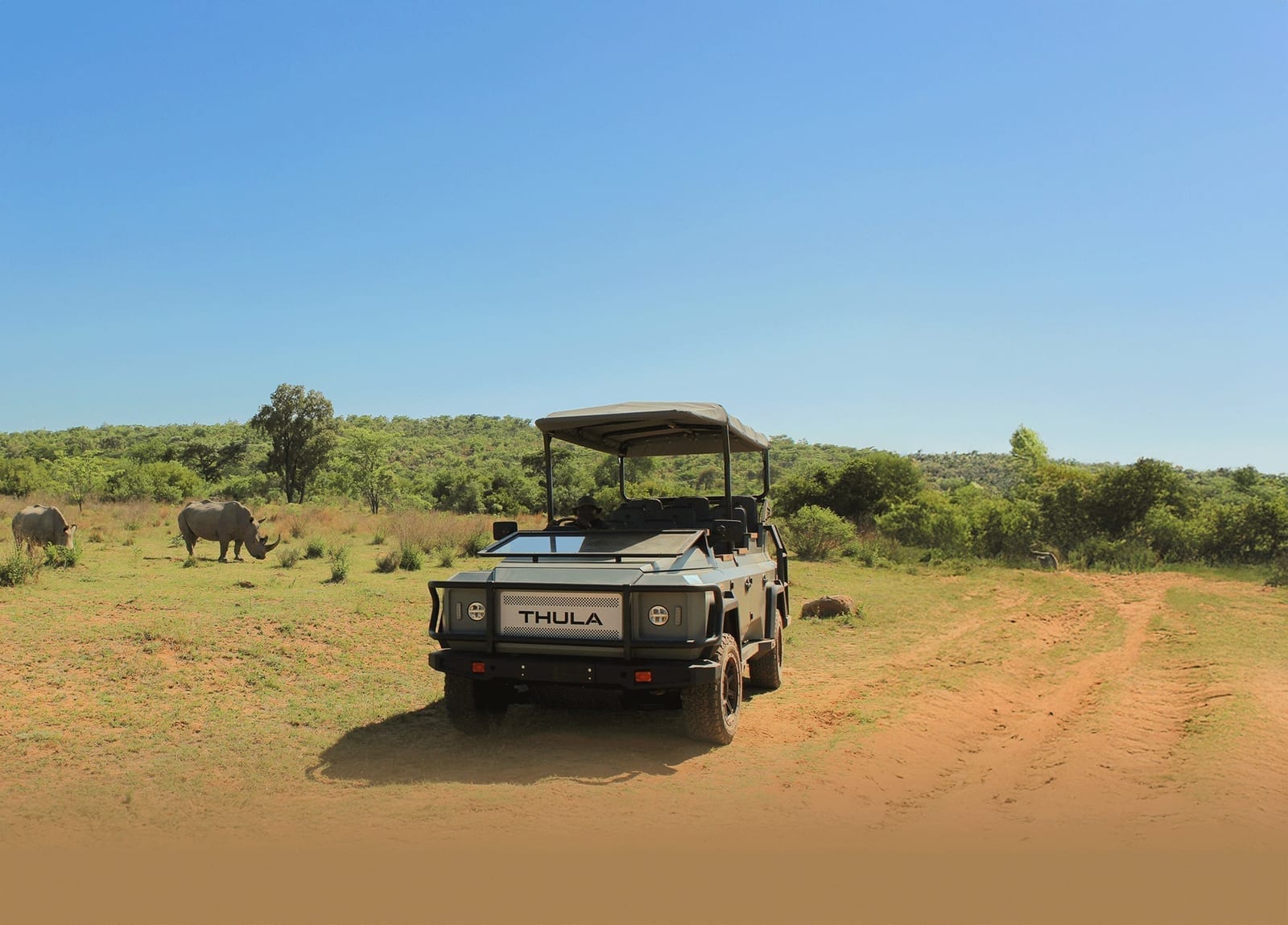 A Thula electric safari vehicle on a bush track with white rhinos grazing nearby