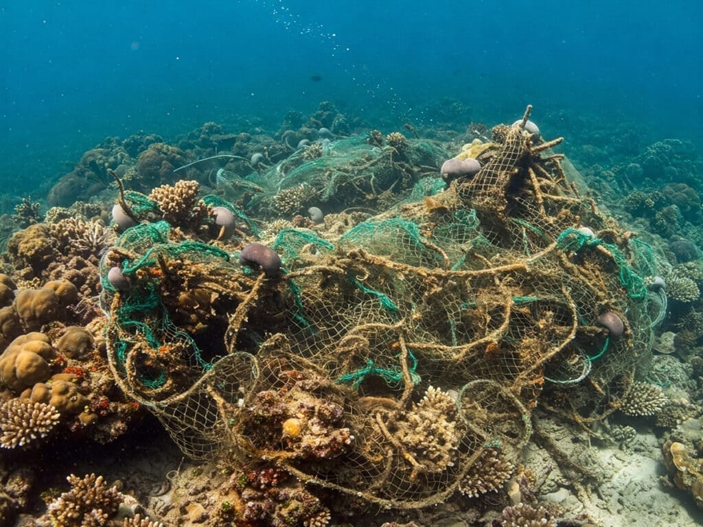 A derelict fishing net tangled across a living coral reef